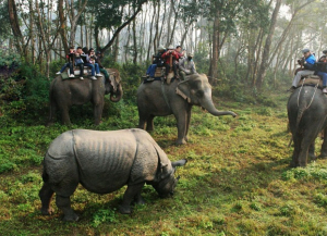 4 Days Chitwan National Park Tour from Kathmandu