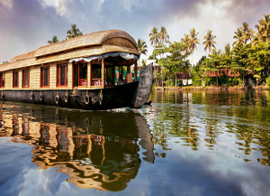 10 Days Hills and Backwaters of Kerala Tour - South India