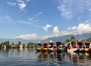 4 Nights 5 Days Kashmir Tour Package - Itinerary, Trip