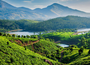 9 Nights 10 Days Kerala Tour Packages - Itinerary, Trip
