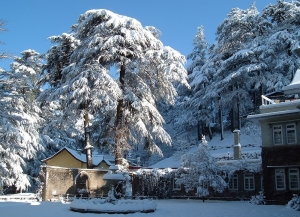 4 Nights 5 Days Shimla Tour Packages from Jaipur - Itinerary, Packages